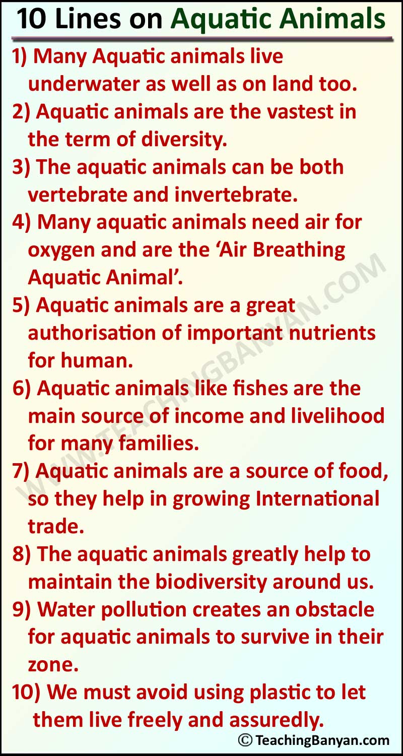 about water animals essay