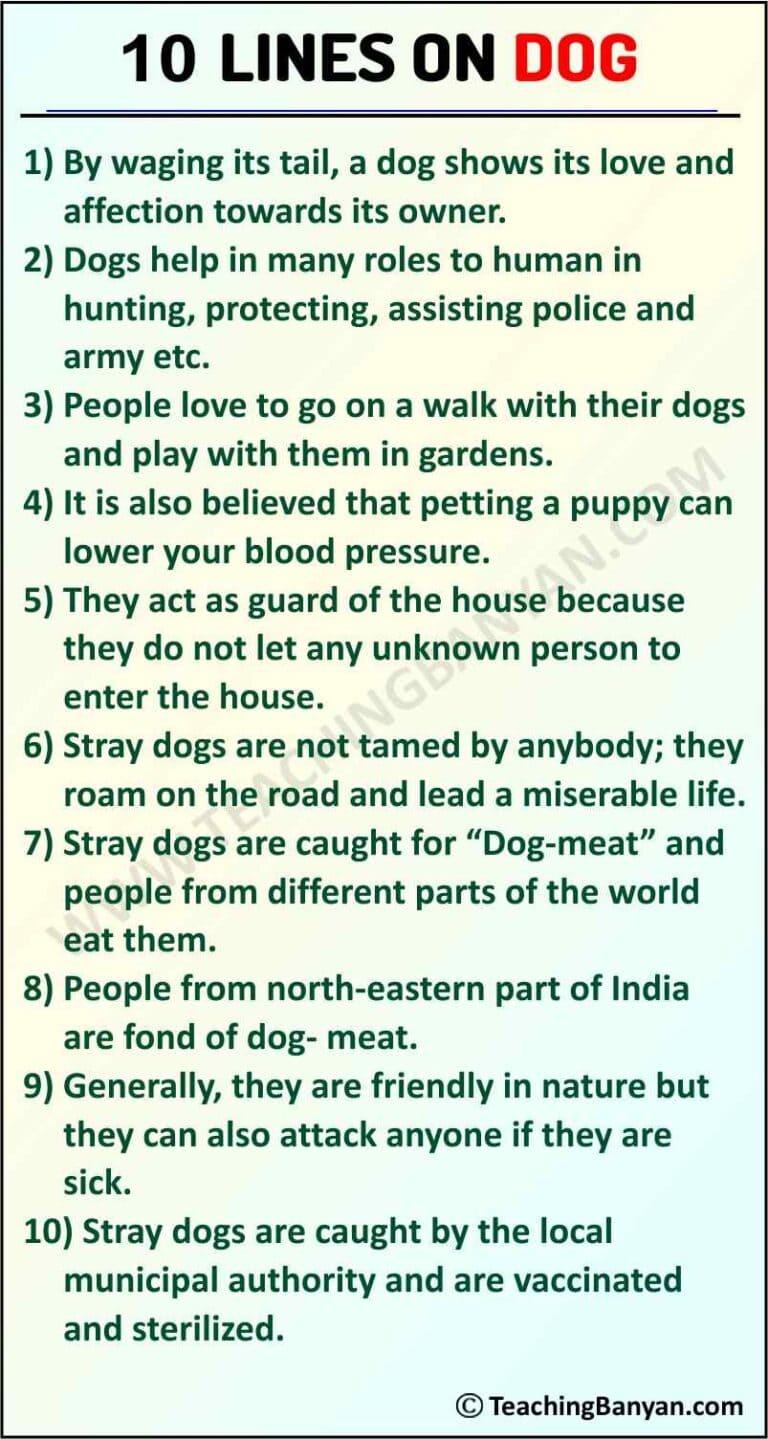 10 Lines on Dog for Children and Students of Class 1, 2, 3, 4, 5, 6