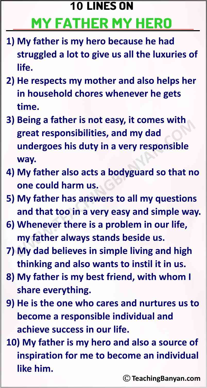 write an essay on my father is my hero