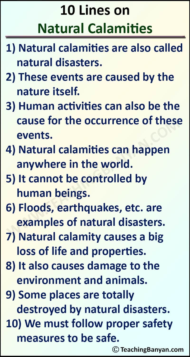 essay about natural calamities