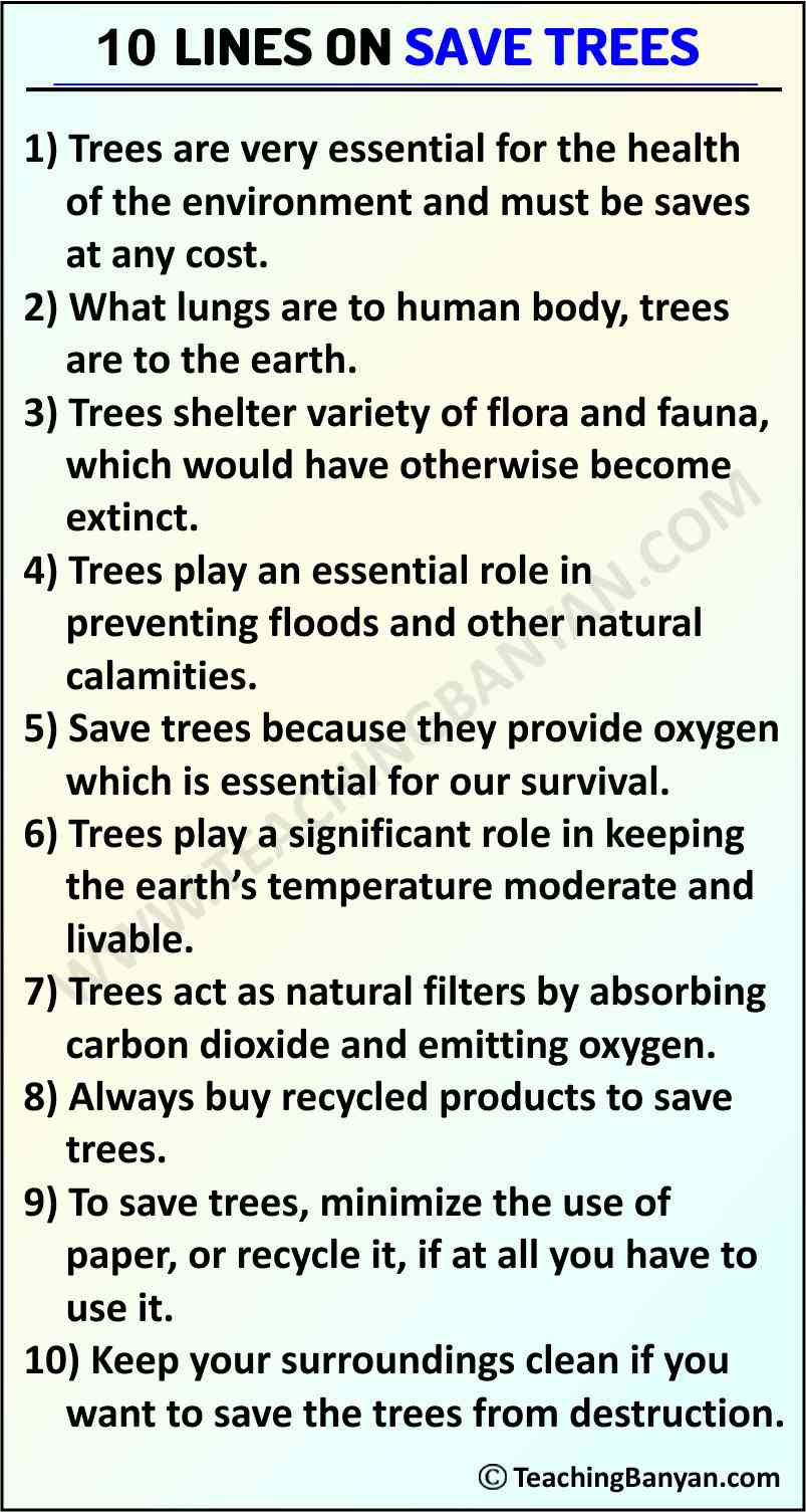 why should we protect trees essay