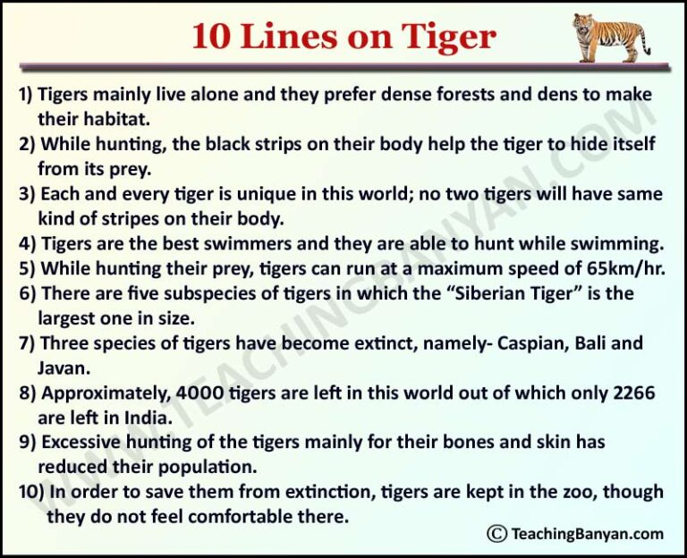 tiger essay in english 10 lines