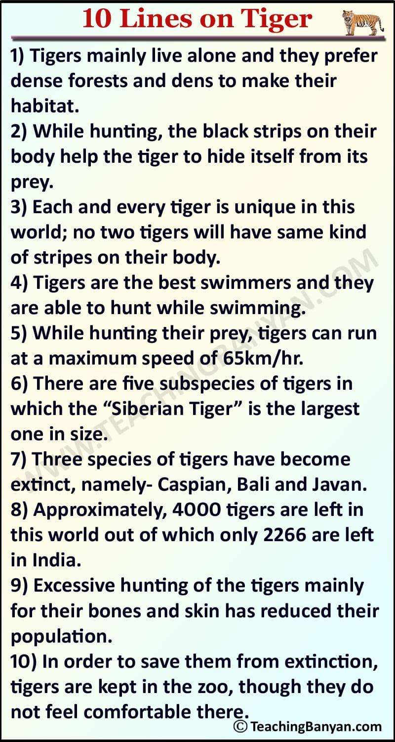 creative writing on tiger